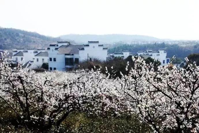 冰汽时代